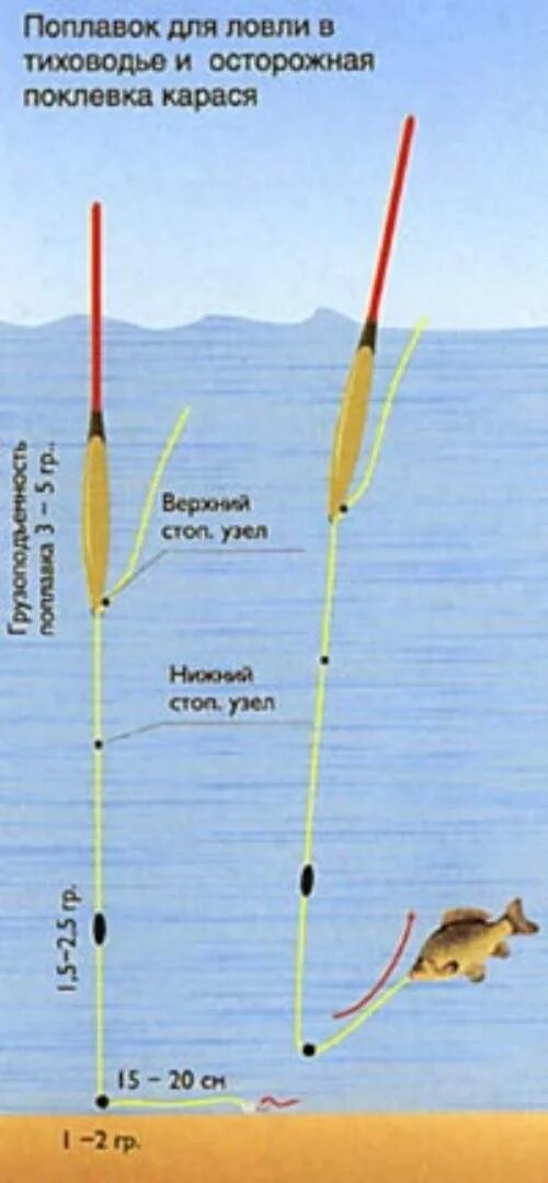 Правильная оснастка на карася Поплавочные снасти для ловли карася - Рыбалка онлайн