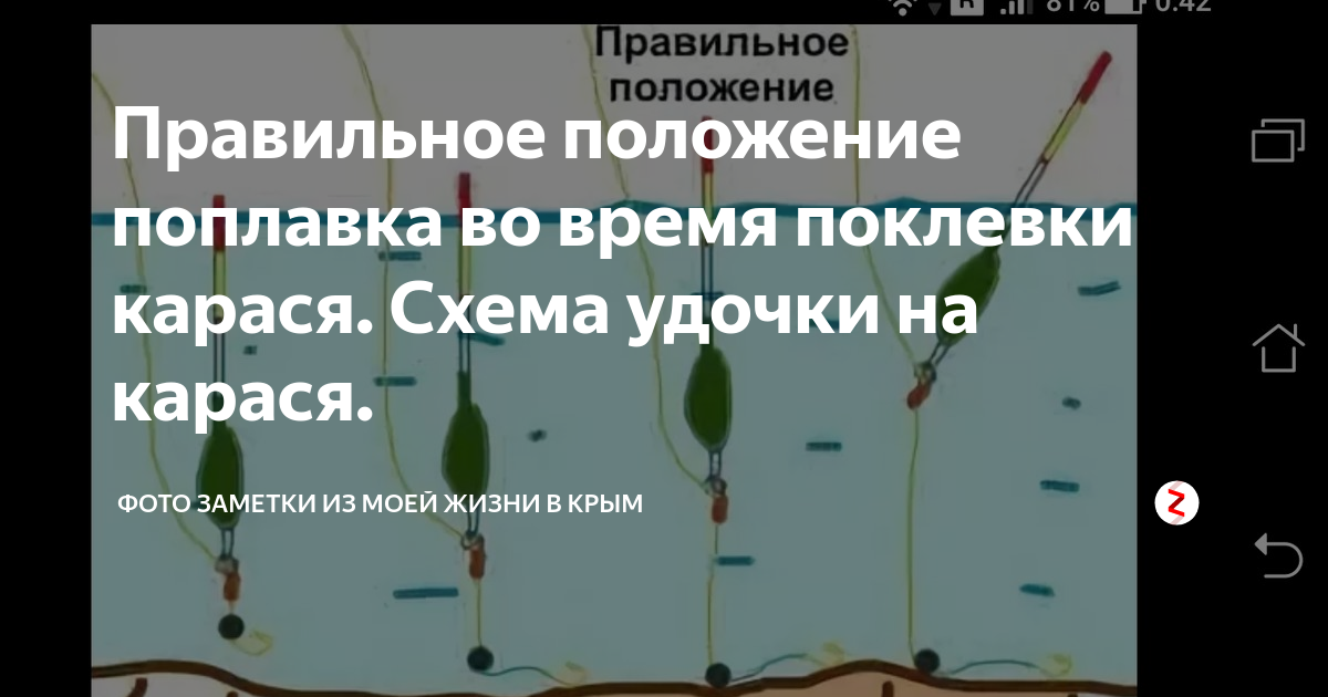 Правильная оснастка на карася Правильное положение поплавка во время поклевки карася. Схема удочки на карася. 