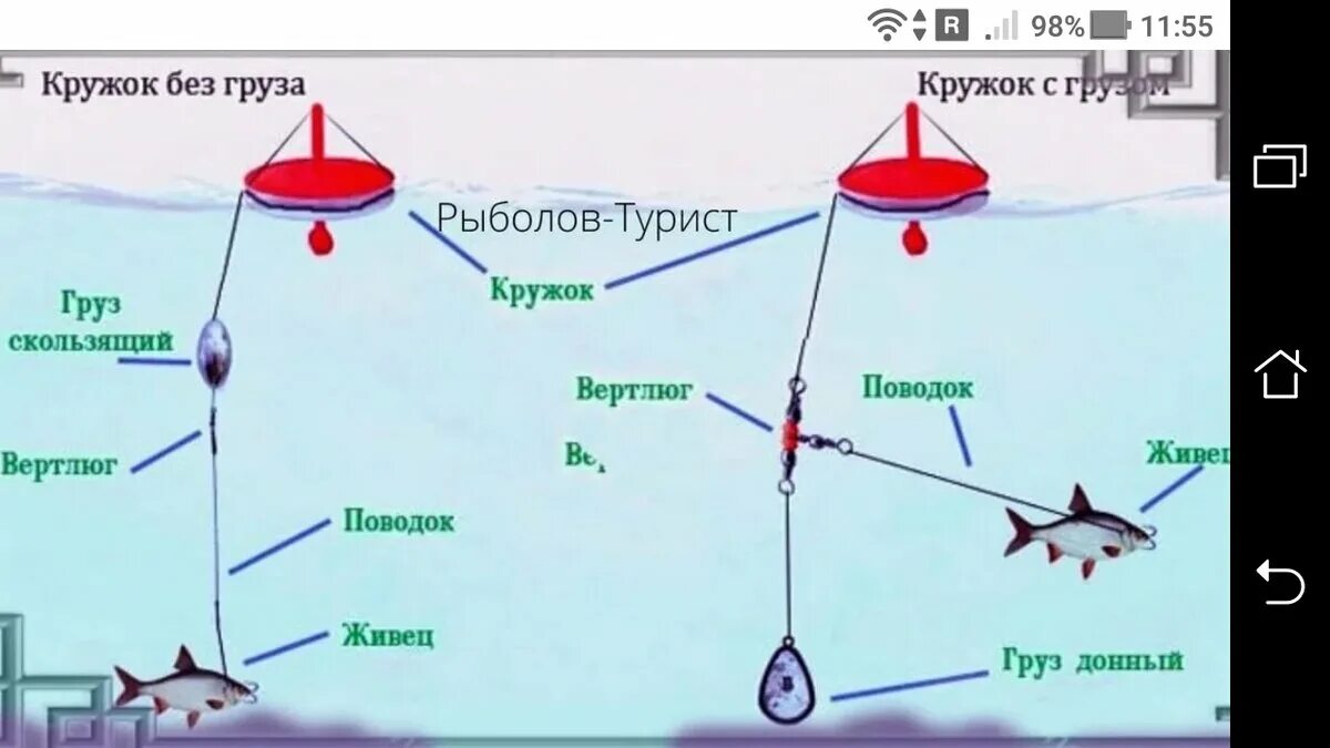 Правильная оснастка на щуку Как насаживать живца карася на жерлицу с одинарным крючком на щуку Фото заметки 