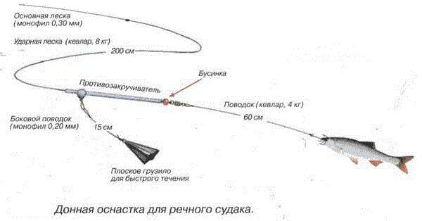 Правильная оснастка на судака Донка на судака своими руками: особенности изготовления, техники