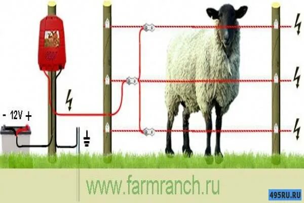 Правильная схема подключения электропастуха Электропастух для овец: как выбрать правильную электроизгородь