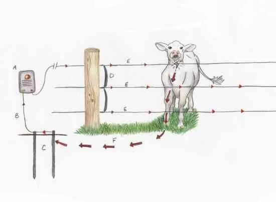 Правильная схема подключения электропастуха Grit Electric fence, Livestock, Earth