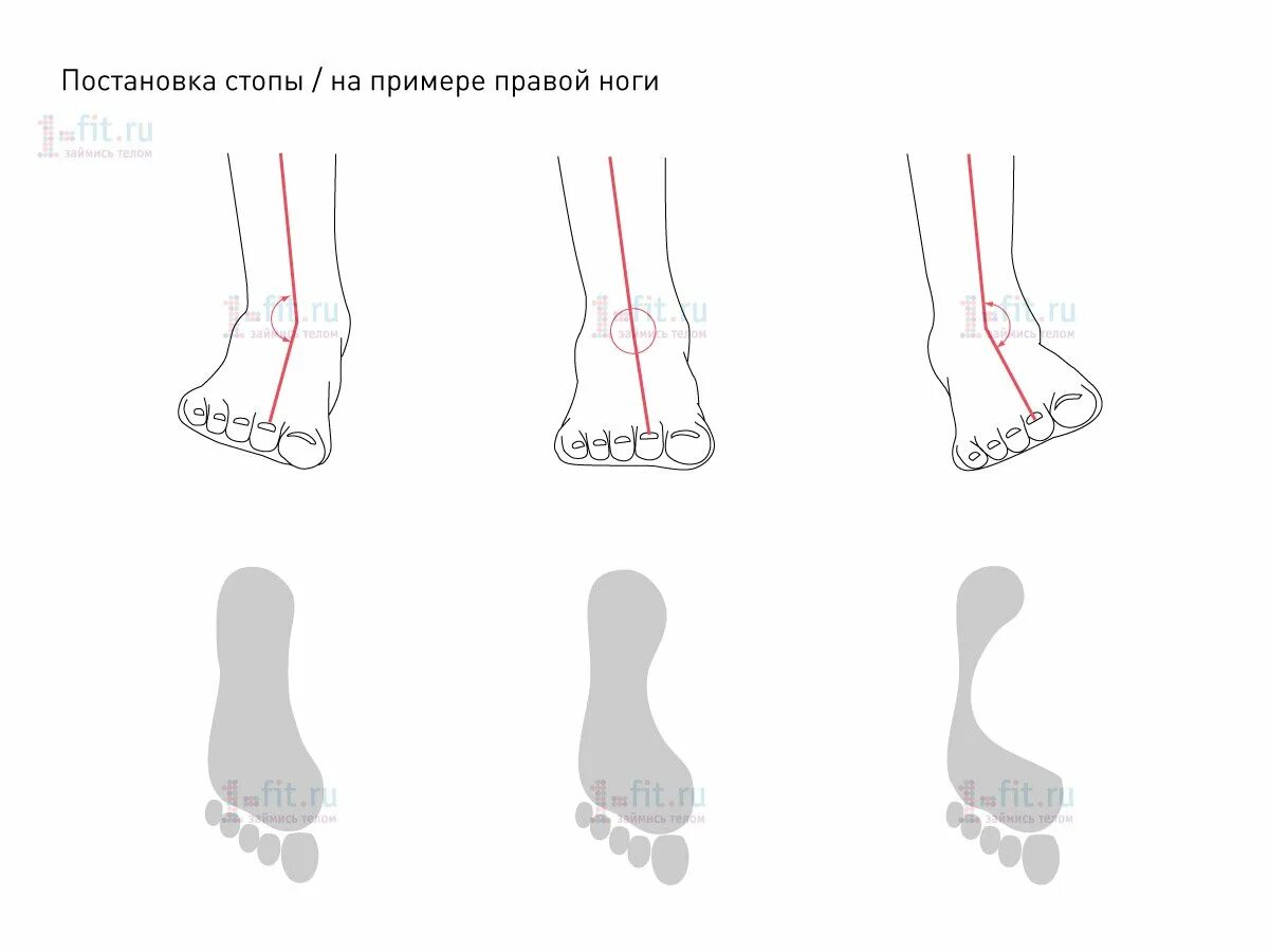 Правильная стопа человека как выглядит фото Техника бега. " Клуб любителей бега "АМАТАР