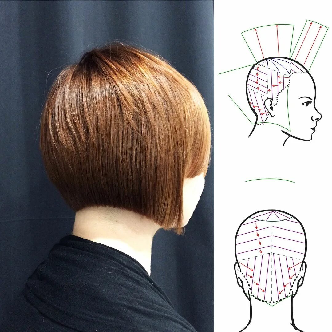 Правильная стрижка боб каре 409 curtidas, 2 comentários - Hairdressing Head Sheets (@hairtechapp) no Instagr