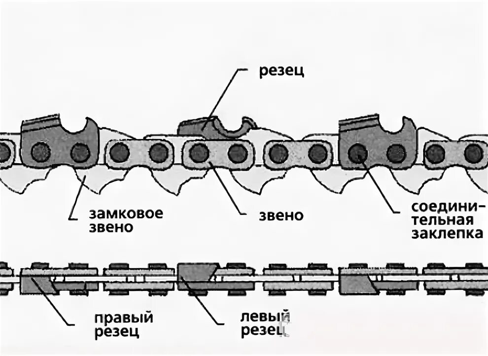 Правильная установка цепи на бензопилу направление фото Установка цепи на бензопилу HeatProf.ru