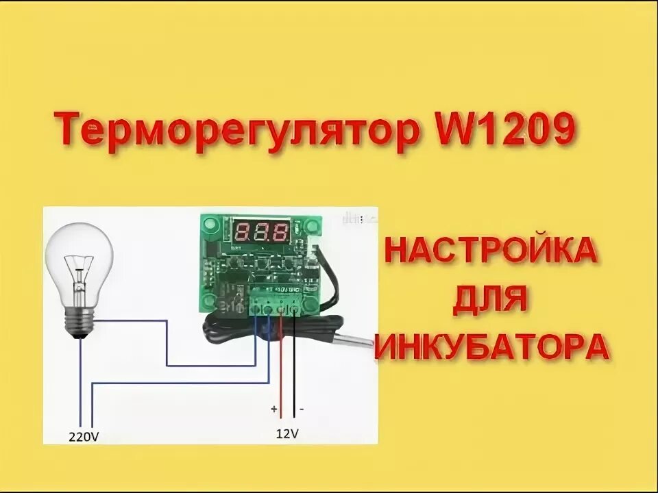 Правильное подключение электронного терморегулятора китайский Подключение и настройка Цифровой терморегулятор W1209 для инкубатора overview th