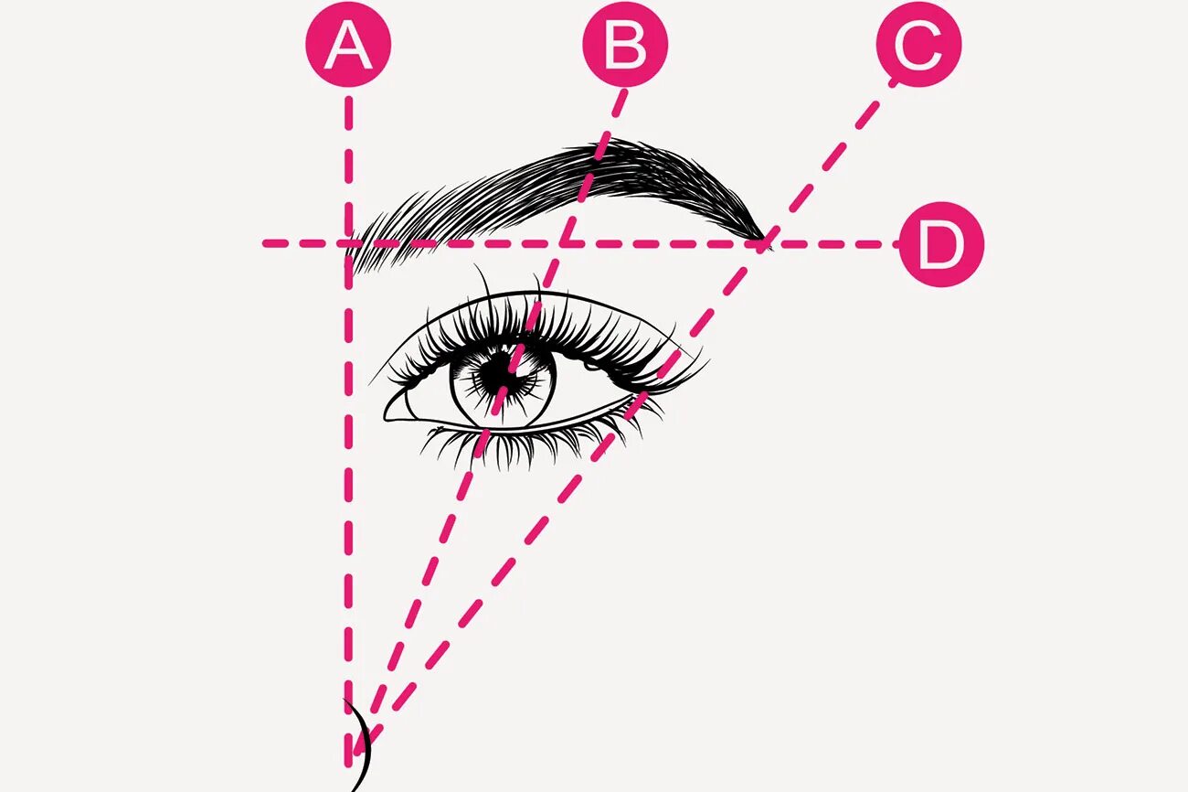 Правильные брови схема фото Форма бровей: как подобрать по типу лица и глаз РБК Стиль