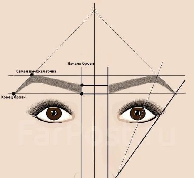 Правильные брови схема фото Стилист по бровям BROW BAR Сертификат! Практика в Находке