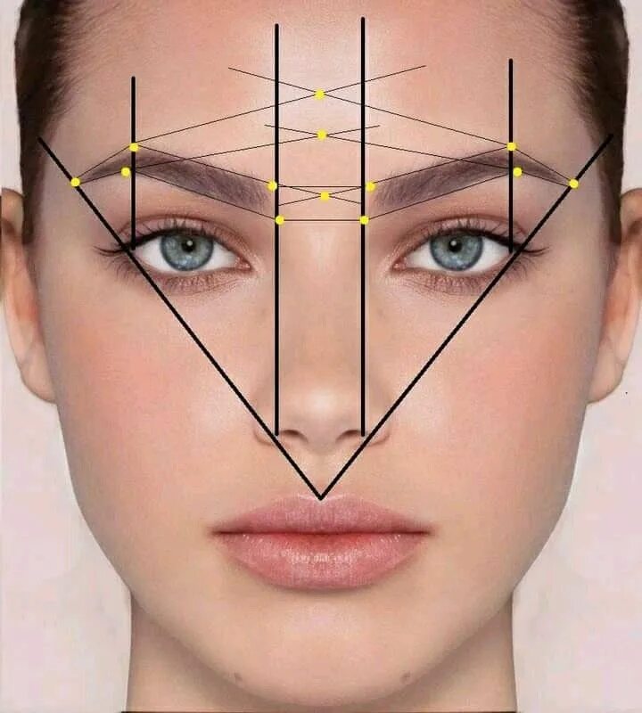 Правильные брови схема фото Visagismo em 2023 Sobrancelhas perfeitas, Curso design de sobrancelha, Formatos 