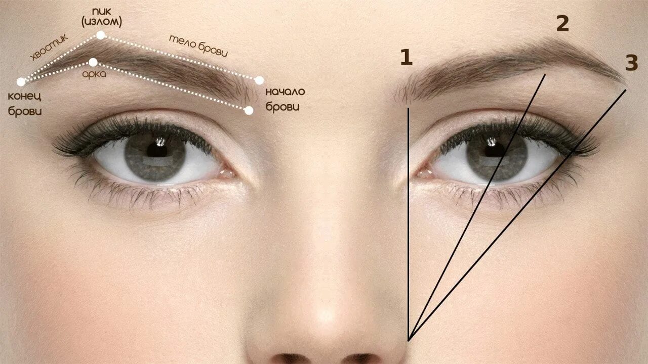 Правильные брови схема фото Формы и схемы прорисовки бровей - Школа Добрый Косметолог Брови, Татуаж бровей, 