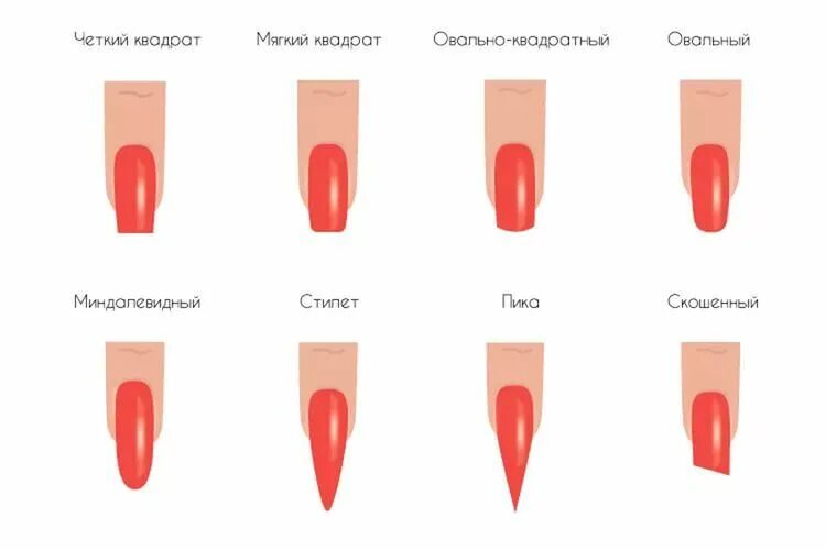 Правильные формы ногтей фото Формы ногтей и их названия с фото Новогодний маникюр, Маникюр, Гвоздь