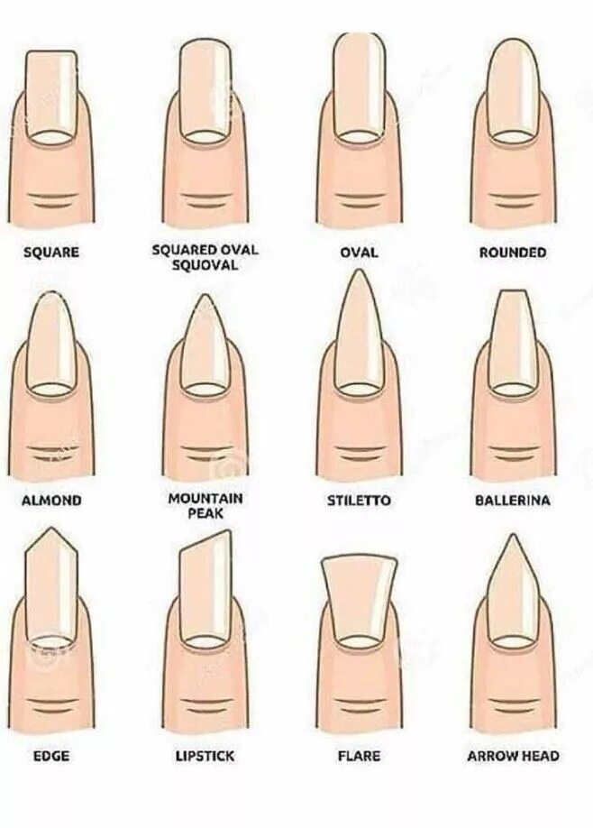 Правильные формы ногтей фото Pin by Arbrore Zekaj on Nails Nail shapes, Fashion nails, Nail length