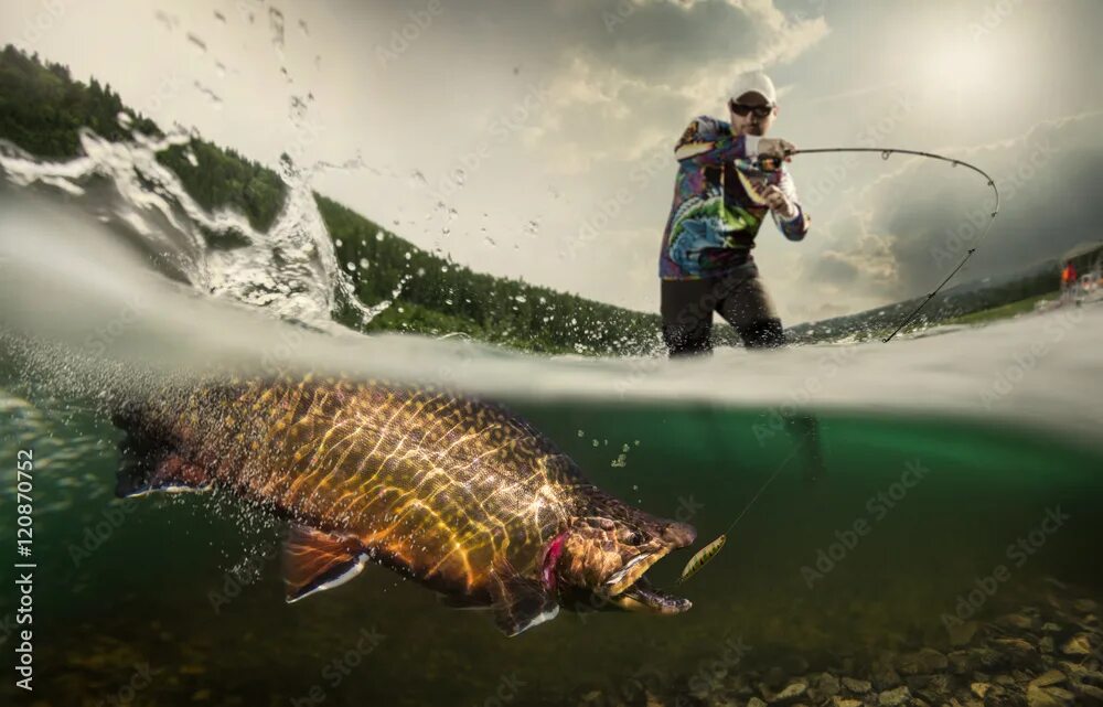 Правильные фото с рыбой Fishing. Fisherman and trout, underwater view