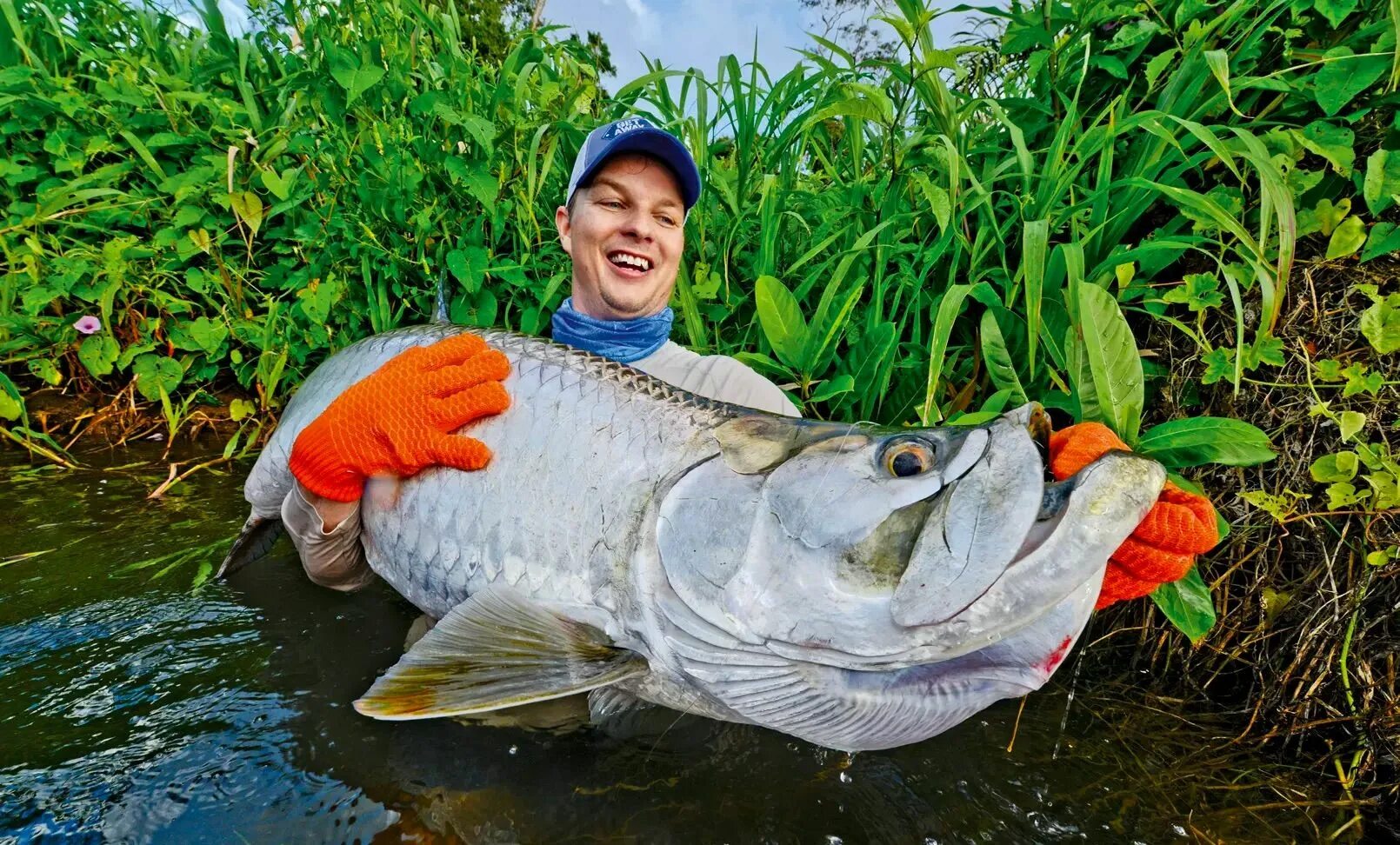 Правильные фото с рыбой Jungle Tarpon Captured On Slo-mo Film! Tarpon fishing, Fishing pictures, Vintage