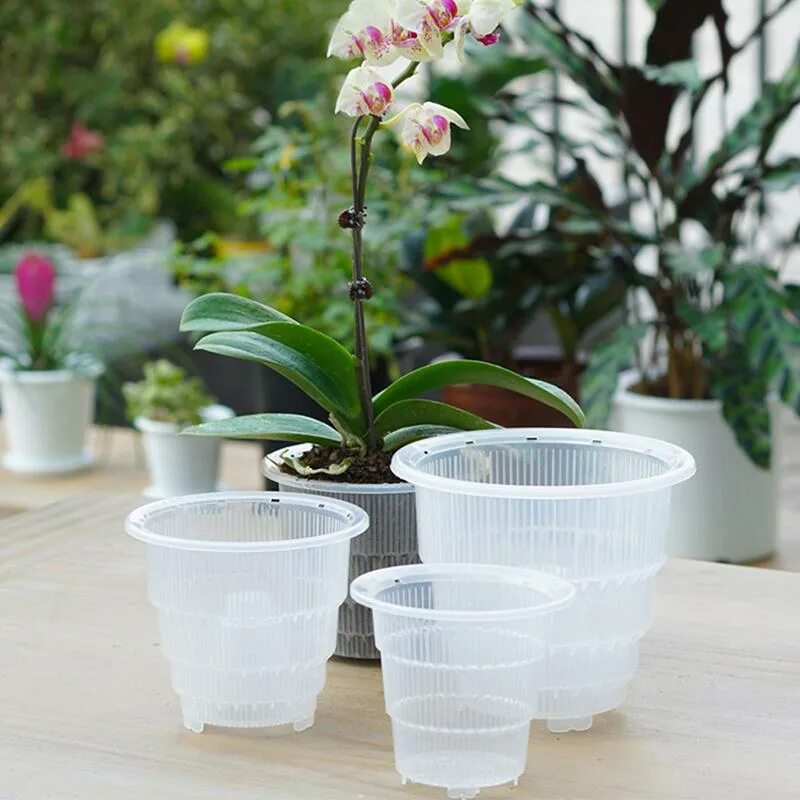 Правильный горшок для орхидеи фото Flower Pot Container Resin Orchid Plant Mesh Transparent For Home Decoration куп