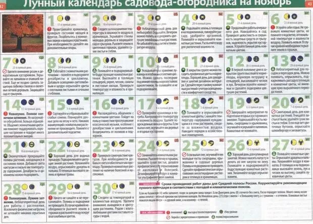 Правильный лунный календарь Лунный дачный календарь на ноябрь 2012 года - Обсуждение статьи