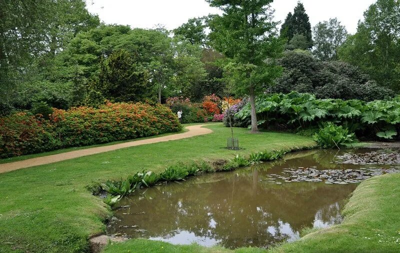 Правильный сад фото Сад Сэвилл (Savill Garden)