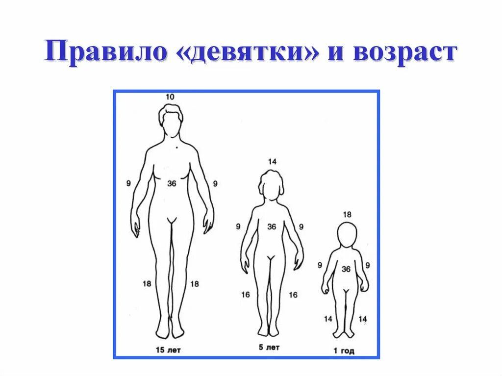 Правило 9 фото Передняя поверхность туловища по правилу девятки: найдено 89 изображений