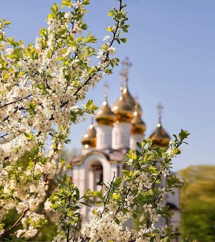 Православная россия фото Всё надо совершать сердцем. Сердцем любить, сердцем смиряться, сердцем к... Инте