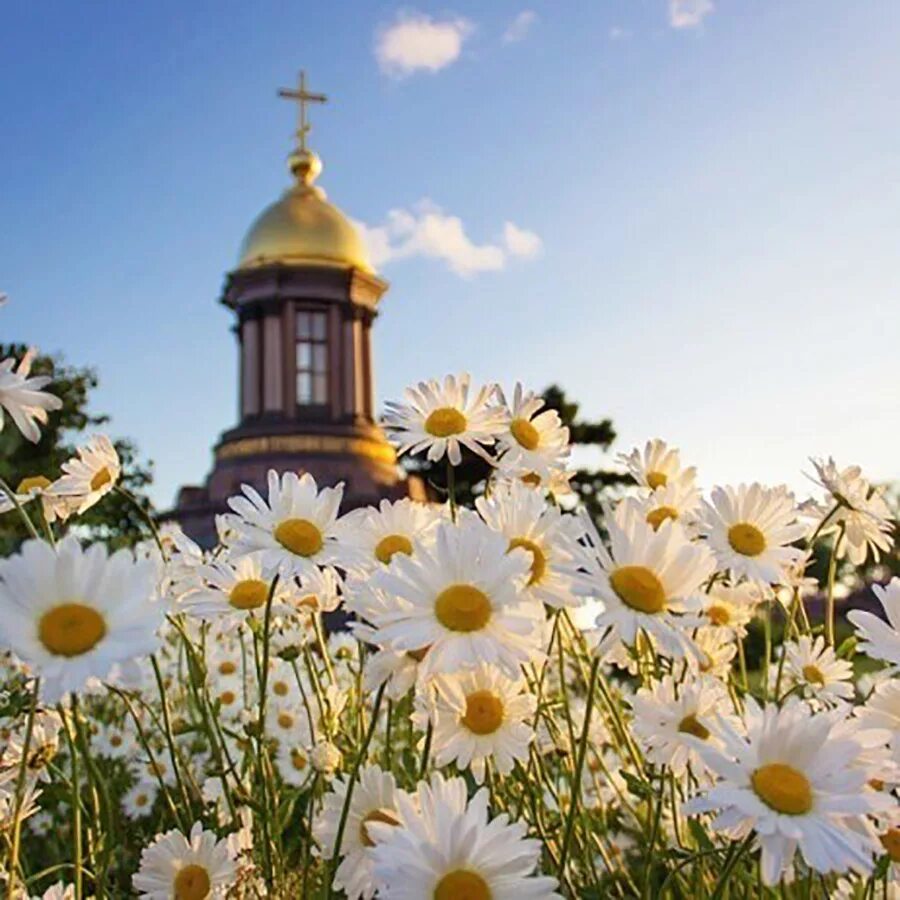 Православное фото с днем Праздник "Ромашковая Русь" пройдет в этнокомплексе "Амазония" Чувашский государс