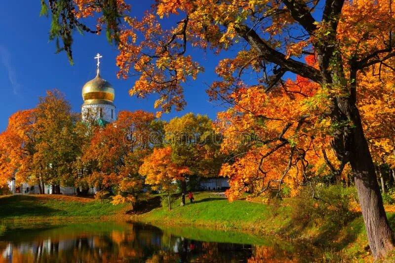 Православный храм осенью фото Autumn Landscape with Church Stock Photo - Image of orthodoxy, petersburg: 80330