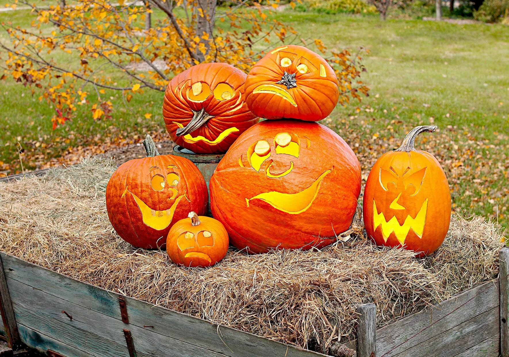 Праздник тыквы фото 31 Easy Pumpkin Carving Ideas for the Best Jack-o'-Lanterns