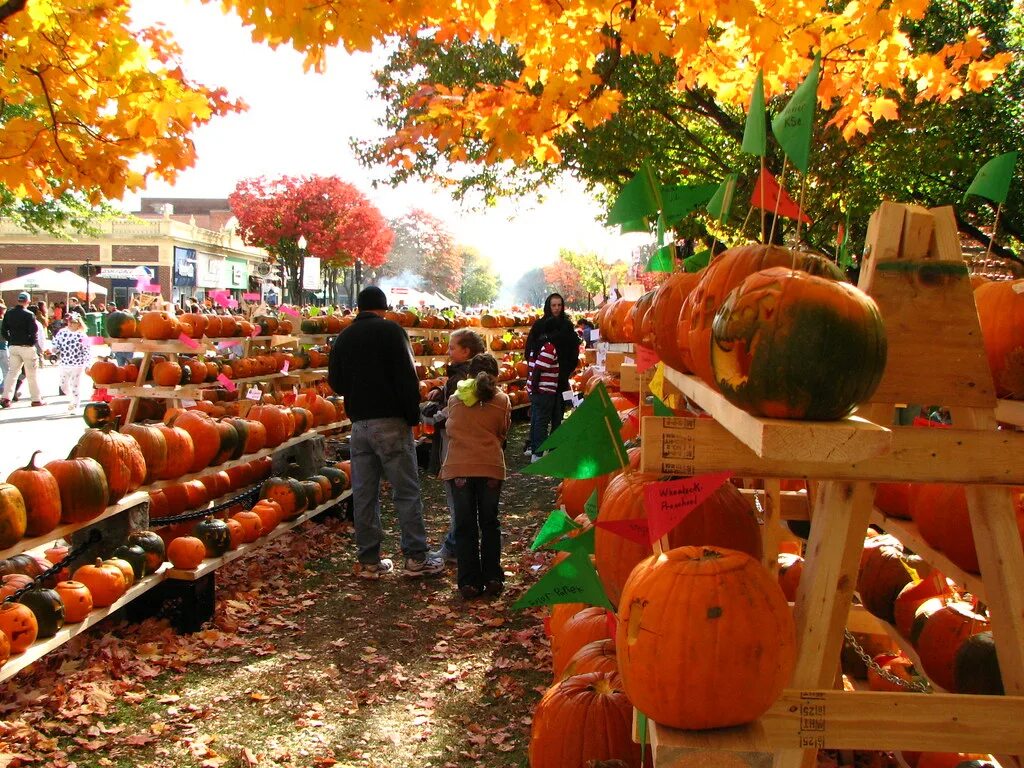 Праздник тыквы фото Keene Pumpkin Festival The Keene Pumpkin Festival in Keene. Flickr