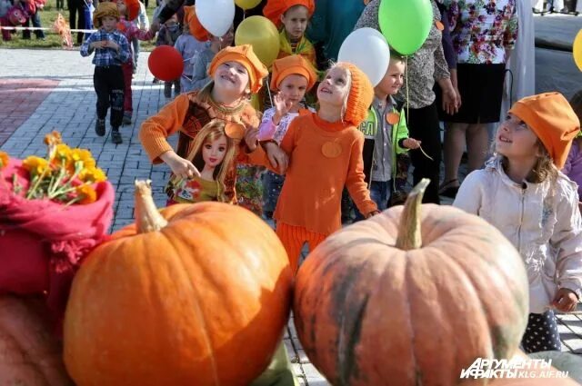 Праздник тыквы фото Традиционный праздник тыкв пройдет в поселке под Калининградом АиФ Калининград