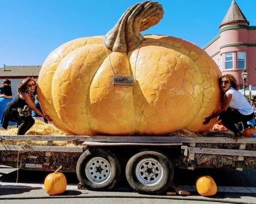 Праздник тыквы фото 48th Half Moon Bay Art & Pumpkin Festival, World Pumpkin Capital Celebrates, Sat