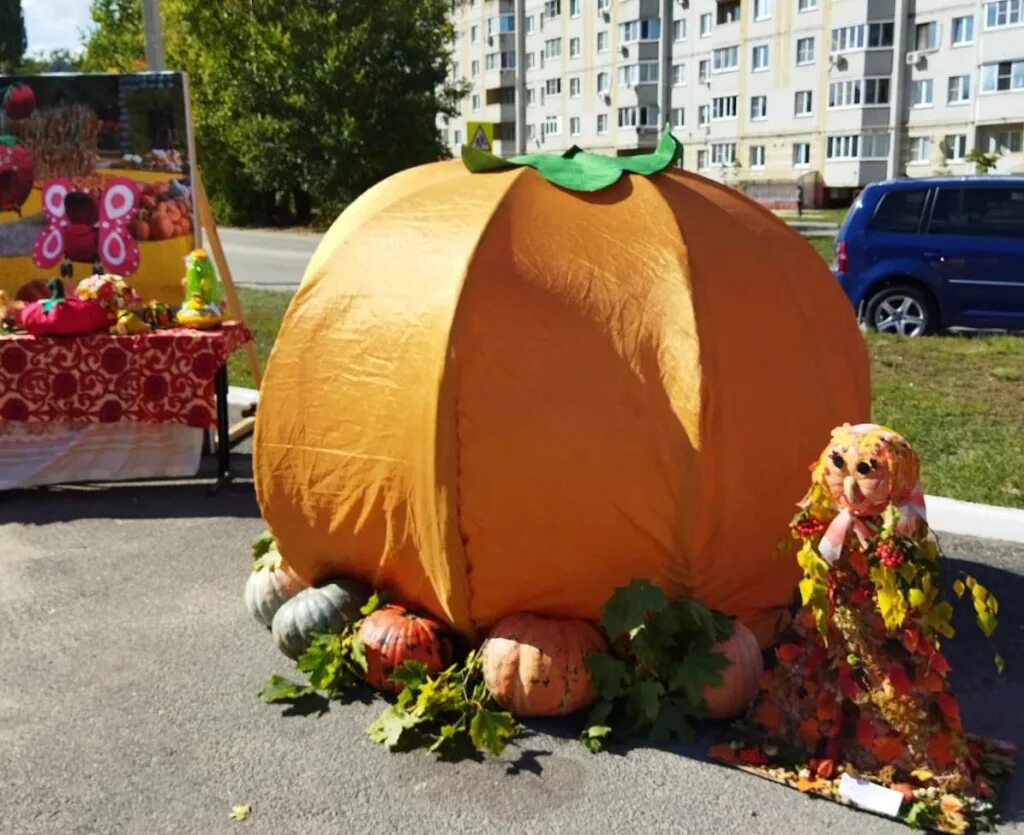 Праздник тыквы фото Гастрономический праздник "Тыквенная каша" прошел в Липецке - LipetskMedia