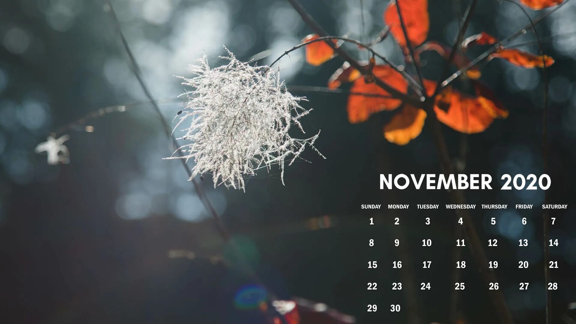 Праздники народные календарь ноябрь презента фото бесплатно November 2020 calendar wallpaper for desktop computer download