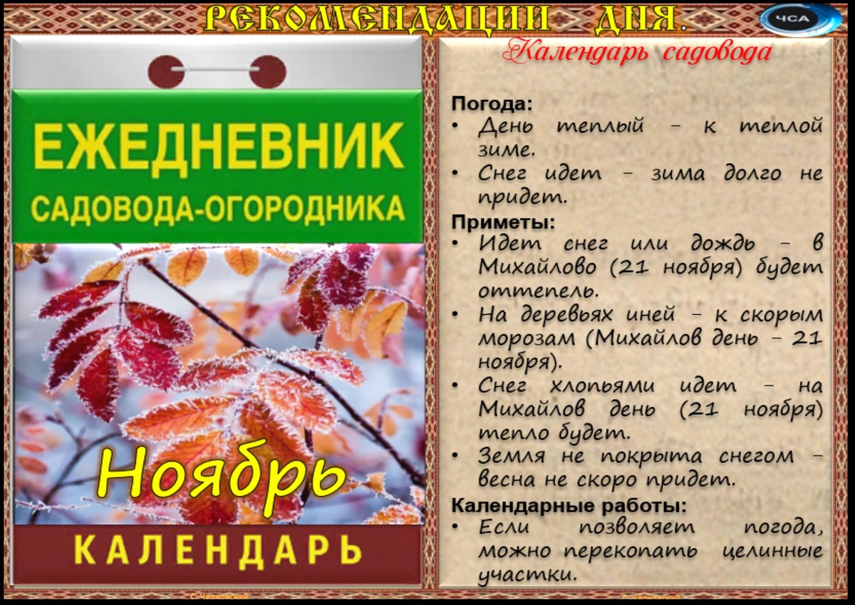 Праздники природы календарь 14 ноября - Приметы, обычаи и ритуалы, традиции и поверья дня. Все праздники дня