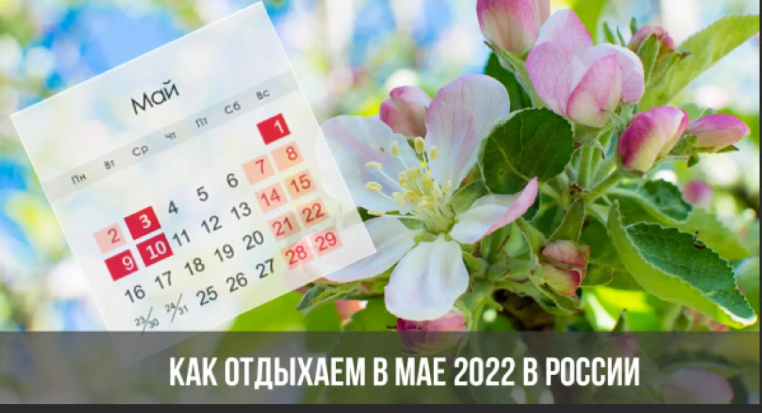 Праздники весеннего календаря Майские выходные в 2022 году: как и сколько отдыхаем с 1 по 10 мая * Свежая Газе