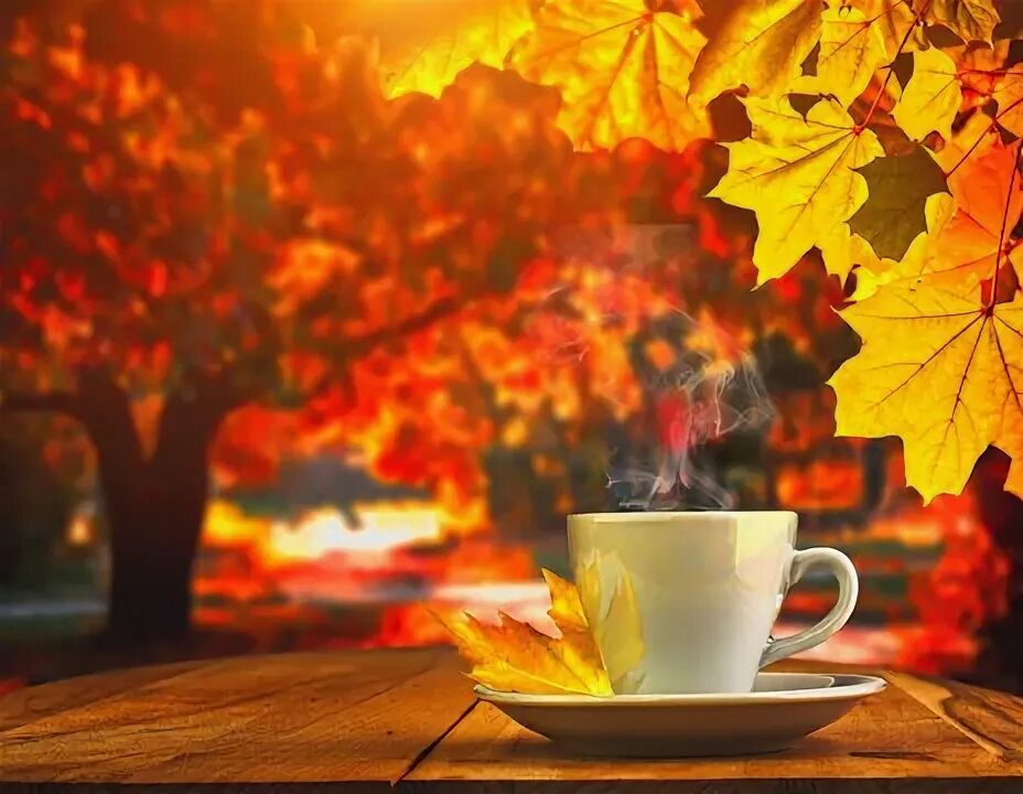 Прекрасное осеннее доброе утро картинки Autumn Coffee Зображення - огляд 310,525 Стокові фото, векторні зображення й від