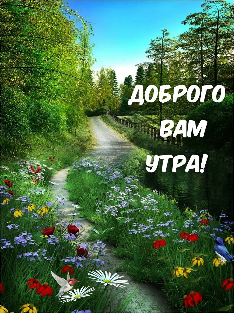 Прекрасного дня фото природы Пин на доске доброе утро Доброе утро, Счастливые картинки, Весеннее пробуждение