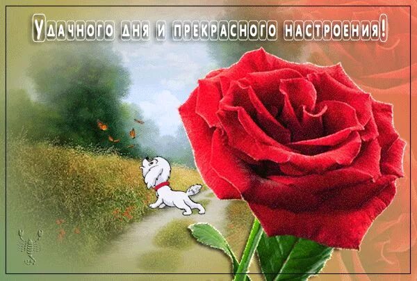 Прекрасного настроения хорошего дня любимая картинки 3403-T-Yockey-14859-TY.gif (600 × 404) Открытки, Картинки, Чувства