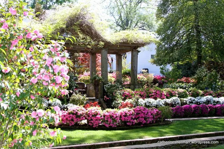 Прекрасный сад фото The Azalea Trail in Tyler, Texas Azaleas, Easy garden, Garden gazebo