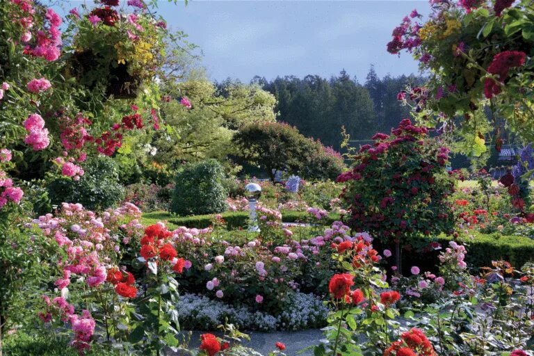 Прекрасный сад фото An Insider’s Guide to Exploring The Butchart Gardens Most beautiful gardens, But