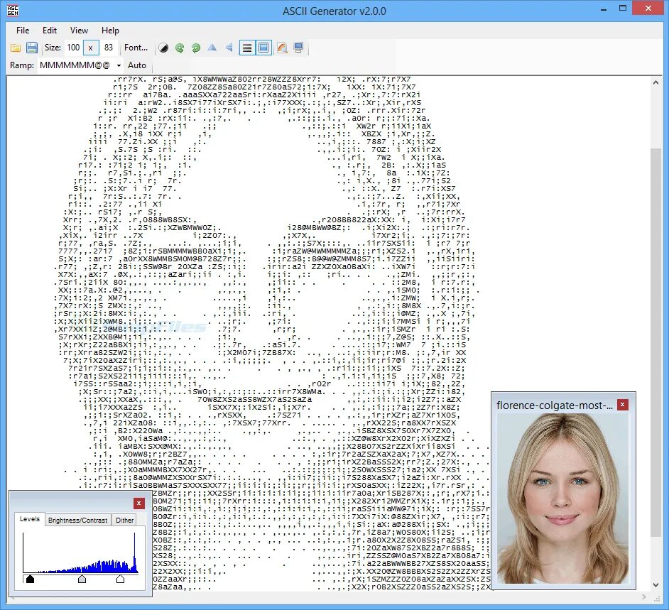Преобразовать фото в схему онлайн ASCII Generator screenshot and download at SnapFiles.com