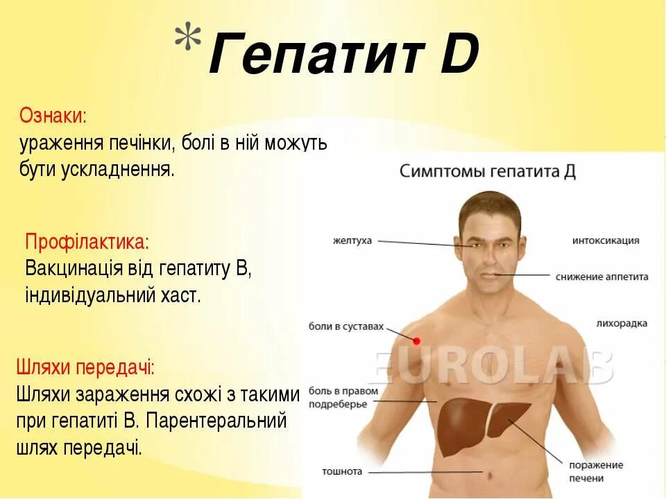 При болезнях печени на теле болезни фото Картинки ЦИРРОЗ ПРИЗНАКИ У МУЖЧИН ПЕРВЫЕ СИМПТОМЫ