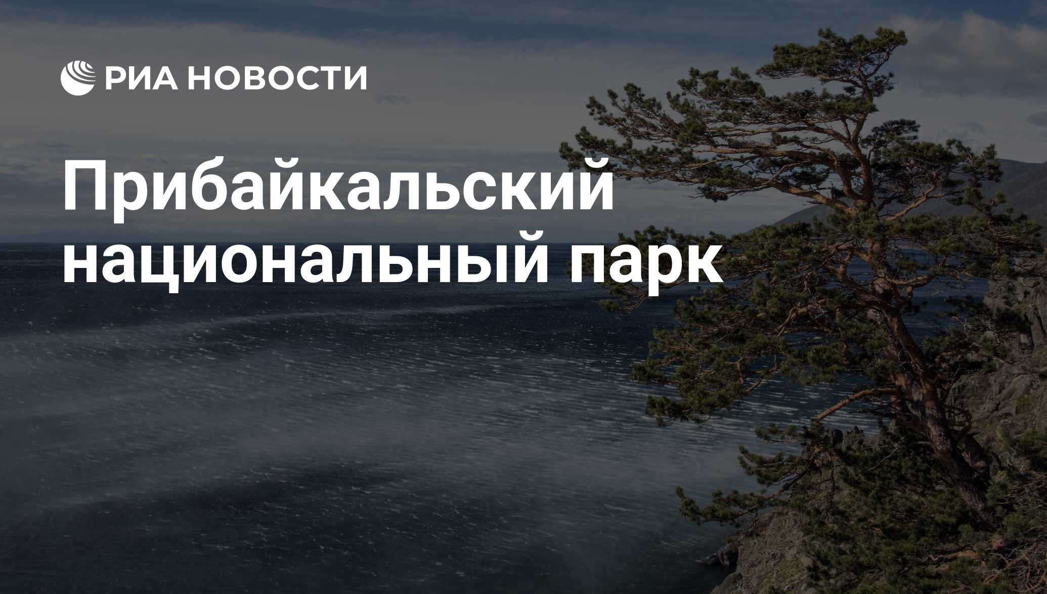 Прибайкальский национальный парк фото Прибайкальский национальный парк - РИА Новости, 27.07.2017