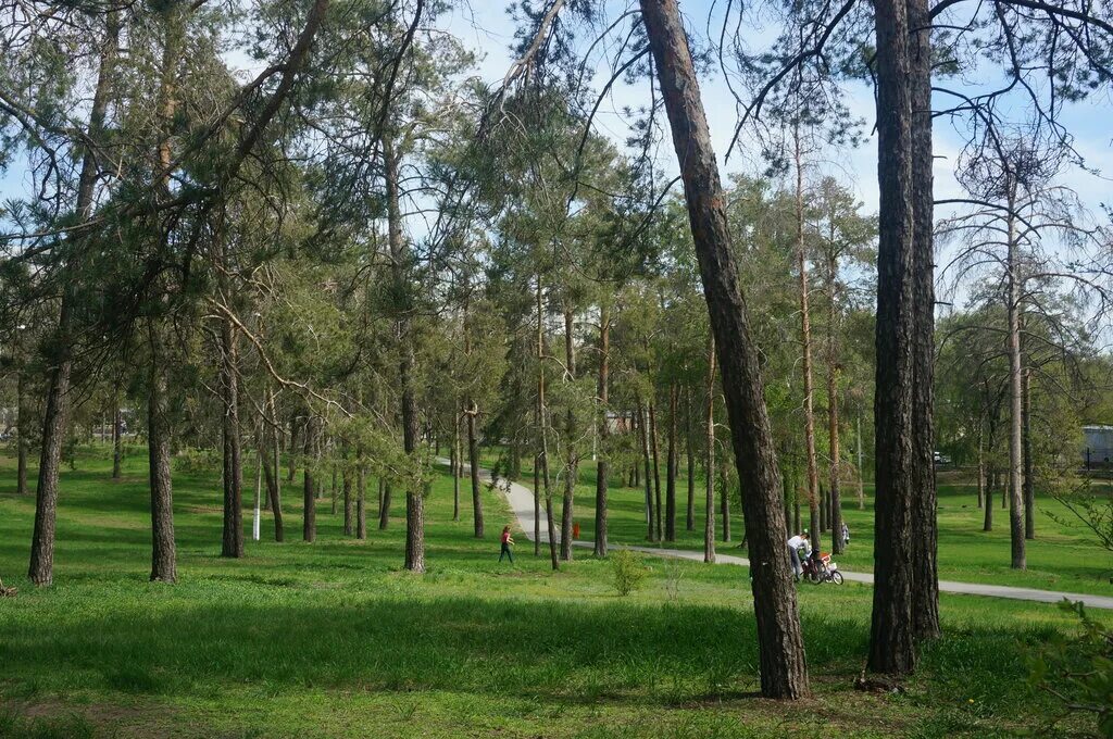 Прибрежный парк тольятти фото МБУ ГО Тольятти Парки города, парк культуры и отдыха, ул. Лизы Чайкиной, 36, Тол