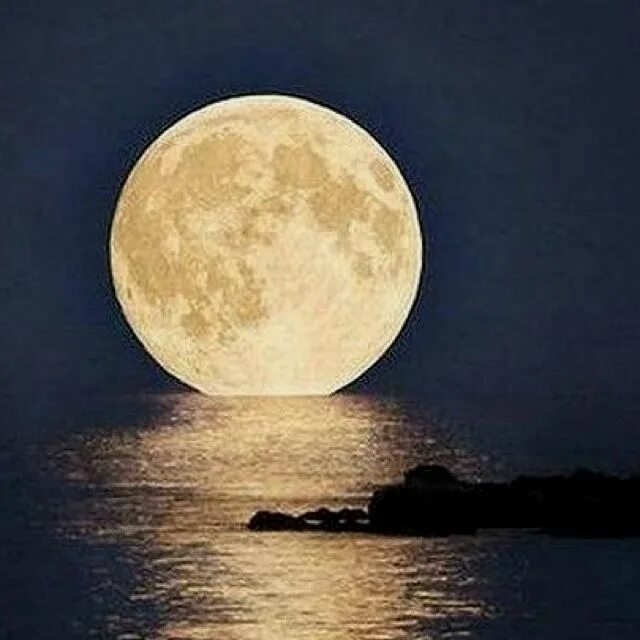 Прибывающая луна фото Moon in Florida Full Moon parties along the beaches are popular here, held priva