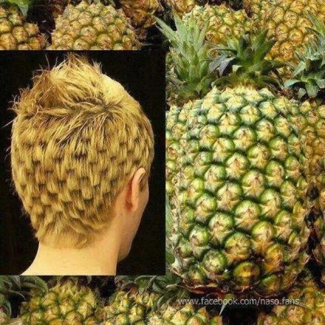 Прическа ананас женская pineapple hair Mixing prints, Pineapple, Brave soul