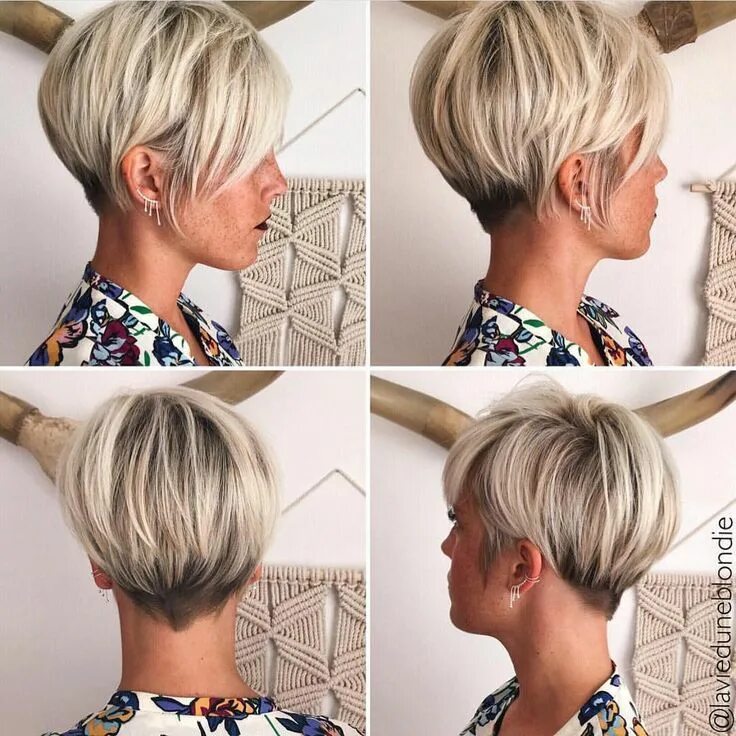 Прическа боб пикси фото короткие @shorthair_love on Instagram: "@lavieduneblondie #shorthairlove #hairstyle #hair