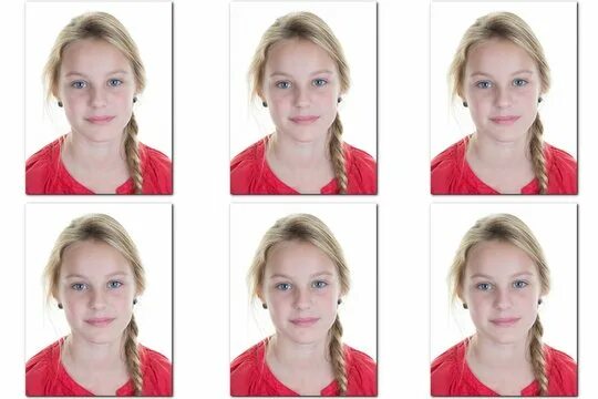 Прическа для фото на паспорт Obrázky Passport Photo Template - procházejte fotografie, vektory a videa 2,123 