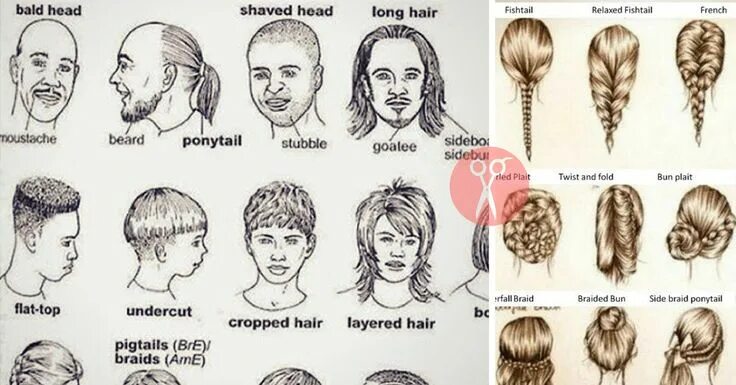 Прическа для волос название Hairstyles Vocabulary: A Guide to English Hair Terms English vocabulary, Vocabul