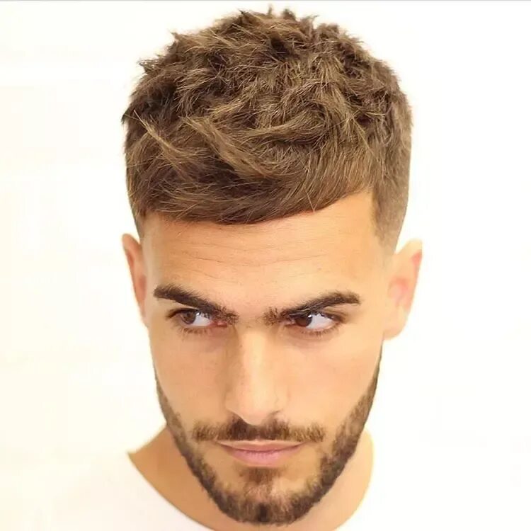 Прическа french crop мужская 20 Awesome Short Hairstyles for Men in 2023 % % Mens hairstyles short, Men's sho