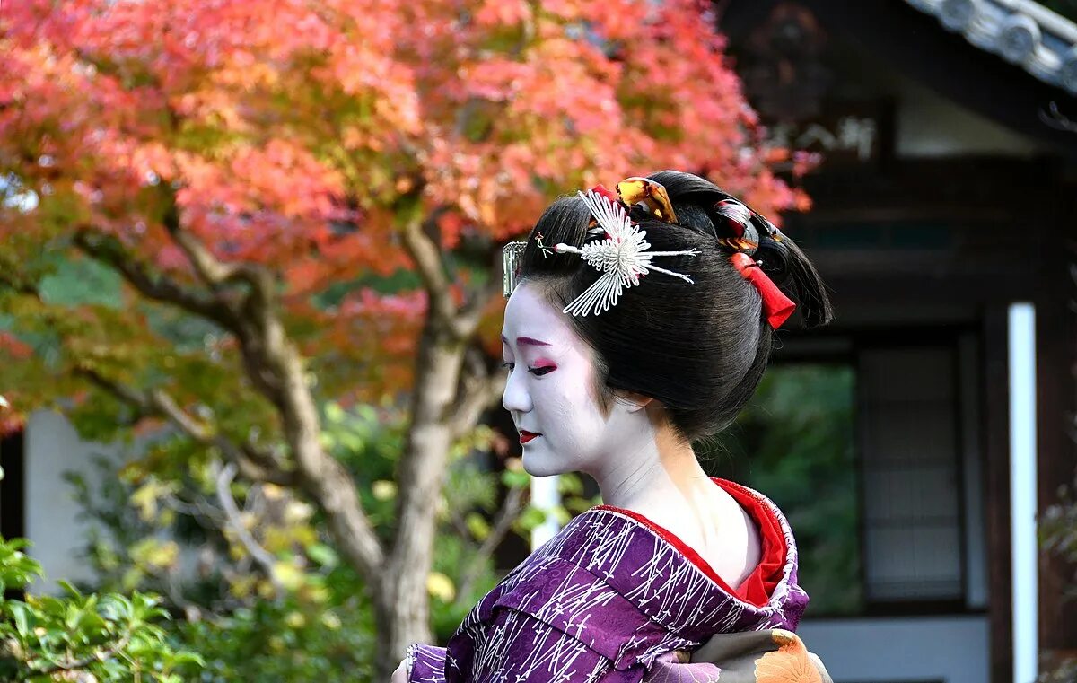 Прическа гейши фото Файл:Gion Higashi maiko Hinayū in Seirai-in Temple 07.jpg - Википедия