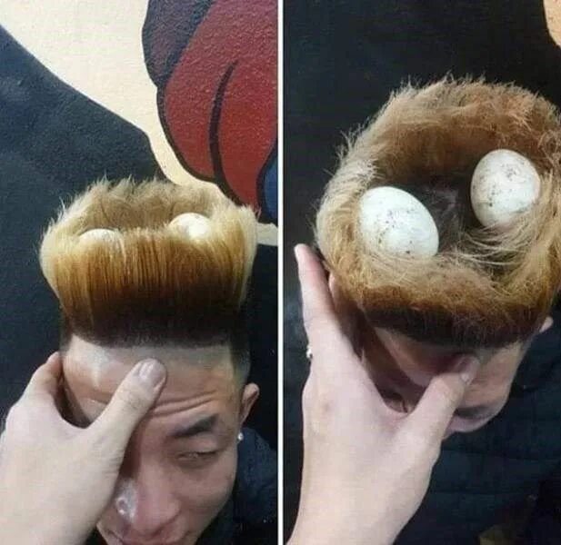 Прическа гнездо мужская 29 Unfortunate Hairstyles Jam-Packed With Cringe Weird images, Haircut funny, Fu